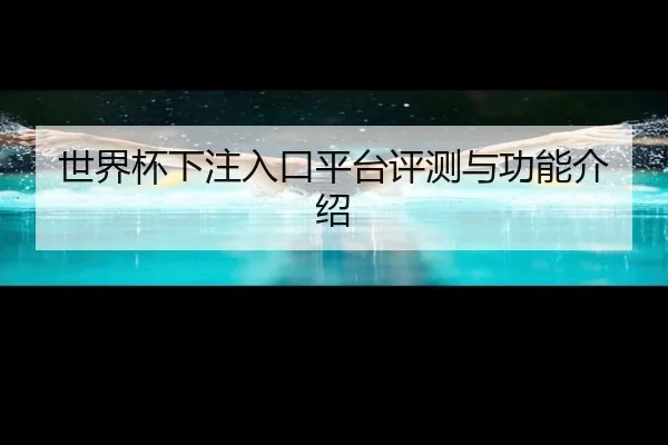 世界杯下注入口平台评测与功能介绍