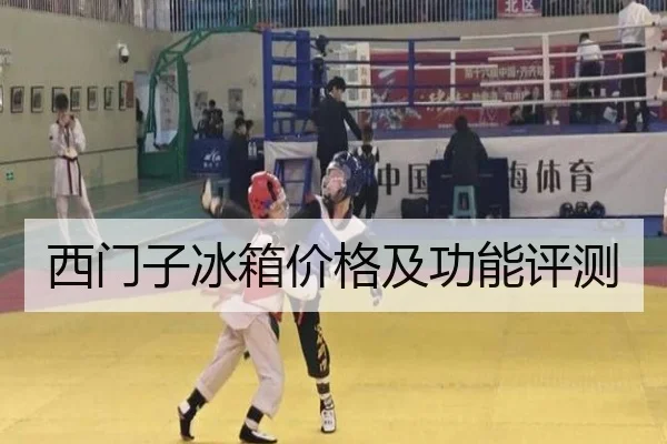 西门子冰箱价格及功能评测