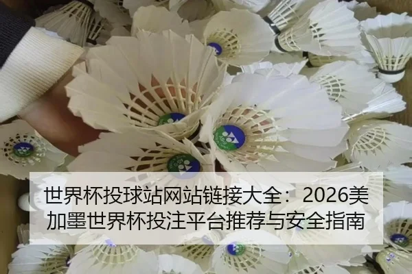 世界杯投球站网站链接大全：2026美加墨世界杯投注平台推荐与安全指南